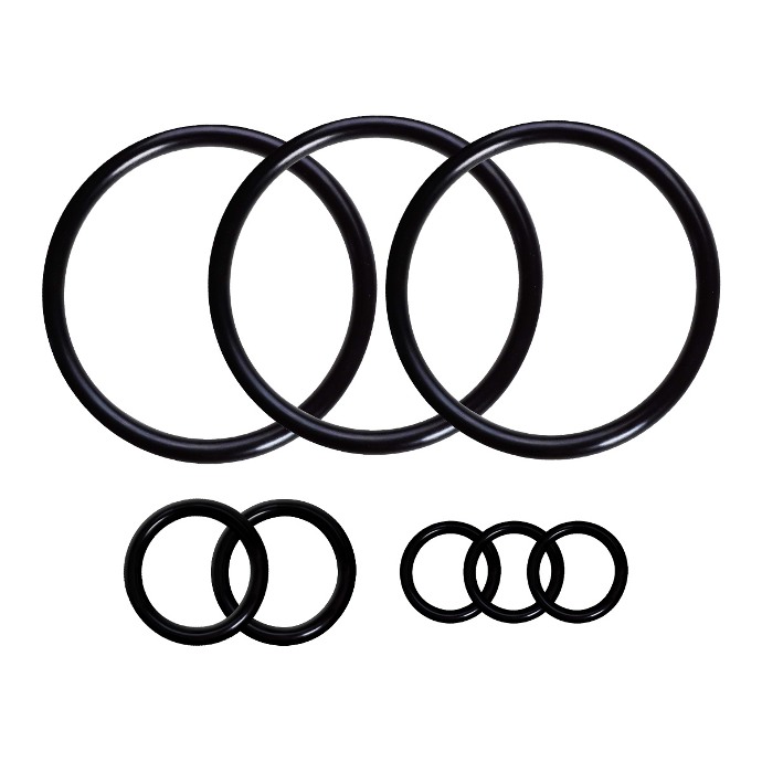 Kalrez Gaskets High Temp