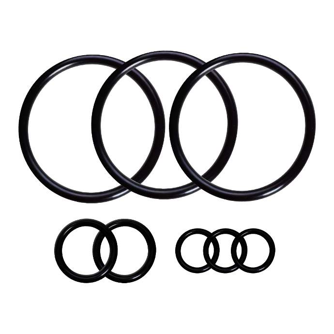 Kalrez Rubber Gaskets