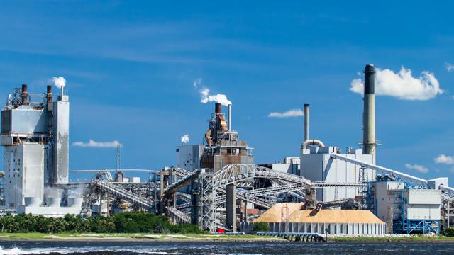 pulp and paper gaskets